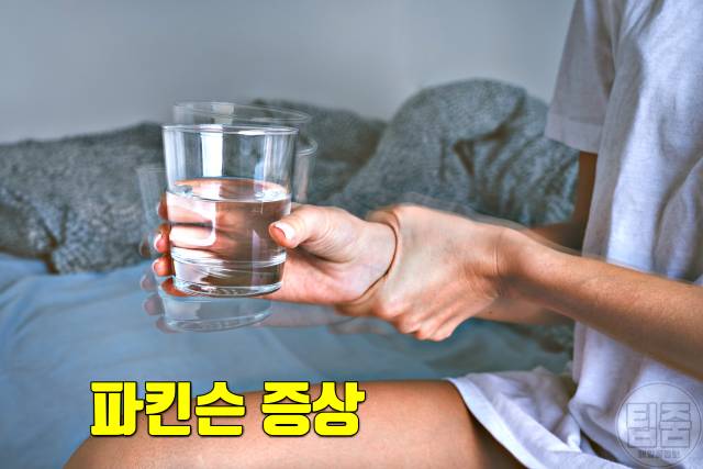 자두 효능 파킨슨 자두하루섭취량 자두부작용