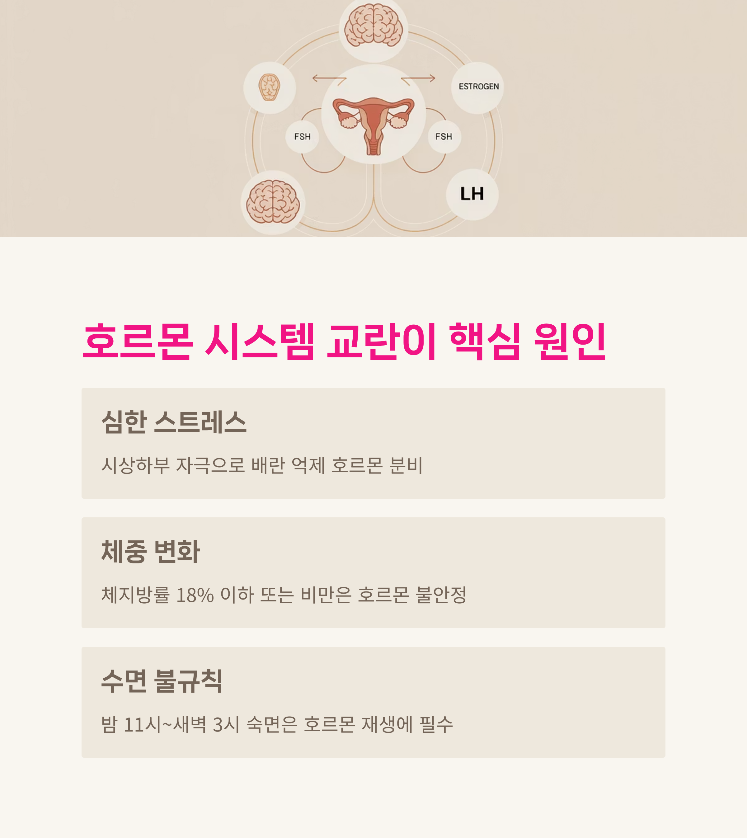 호르몬 시스템과 뇌-자궁 연결 구조를 시각화한 이미지와 함께 무월경의 주요 원인(스트레스, 체중 변화, 수면 부족)을 소개하는 설명 이미지