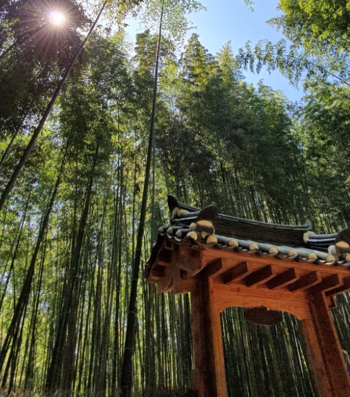 6월 여행하기 좋은 곳 9선 여름의 매력을 만끽하세요!