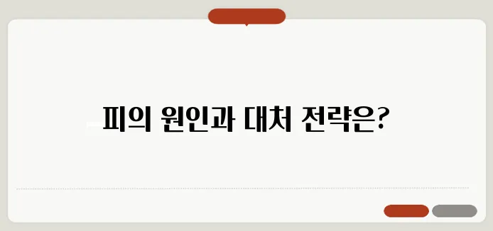 항문에서 피가 나는 원인과 치료법