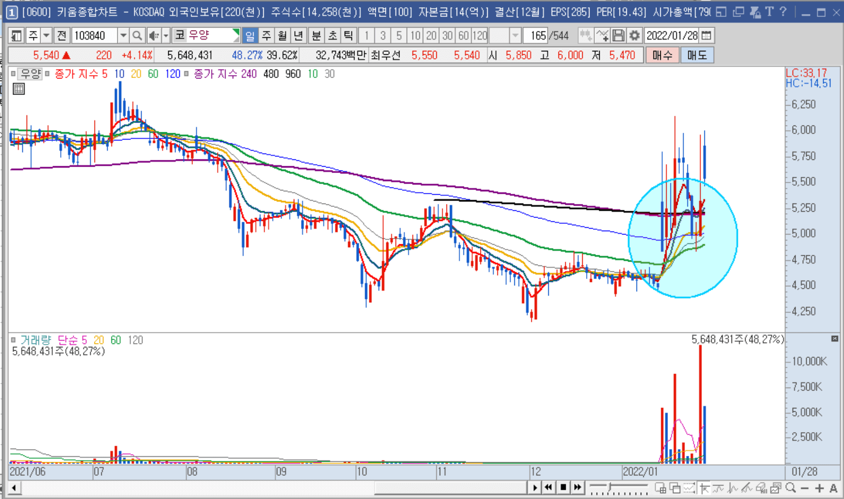 우양 일봉 차트 예시 이미지