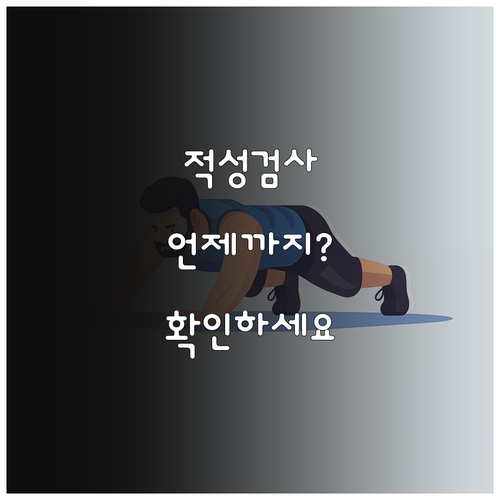 내 운전면허 적성검사 기간 언제 도로..