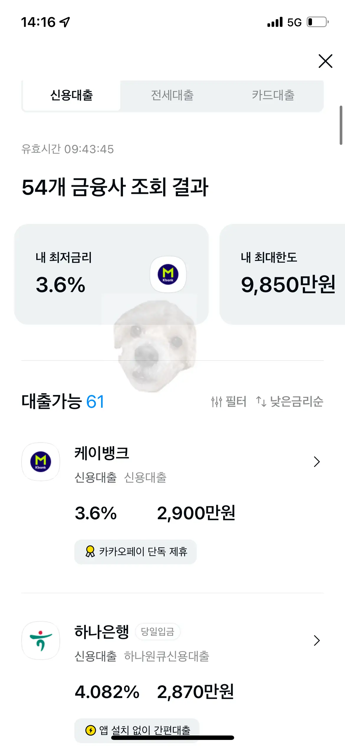 카카오페이 신용대출 한도조회 결과 사진