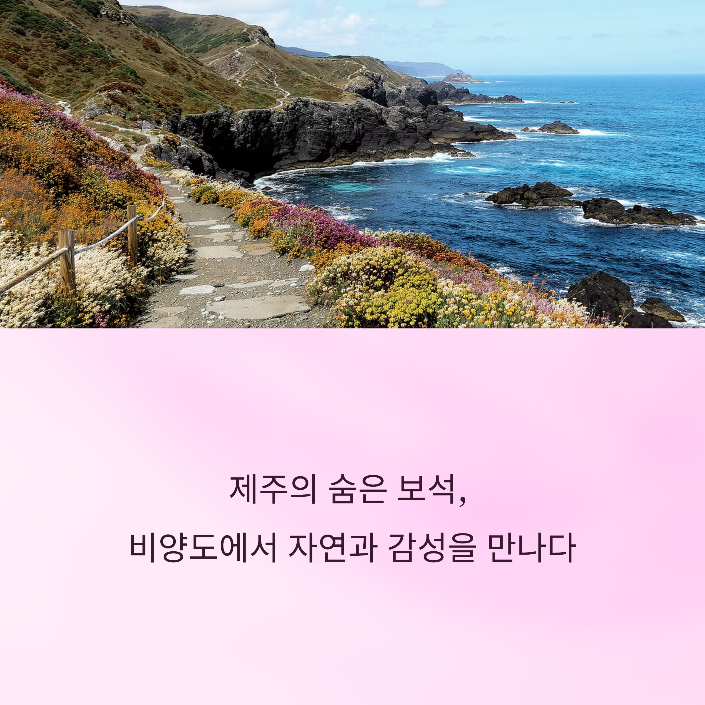 제주에서 만나는 작지만 깊은 섬 이야기 비양도