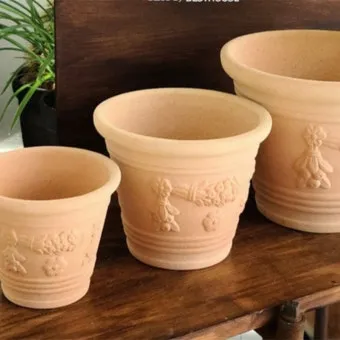 북유럽풍 인테리어 식물배치 톤맞추기 화분색감 관리 감성업_3