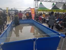 신안군 제 9회 섬낙지 축제 기본일정 및 프로그램 소개