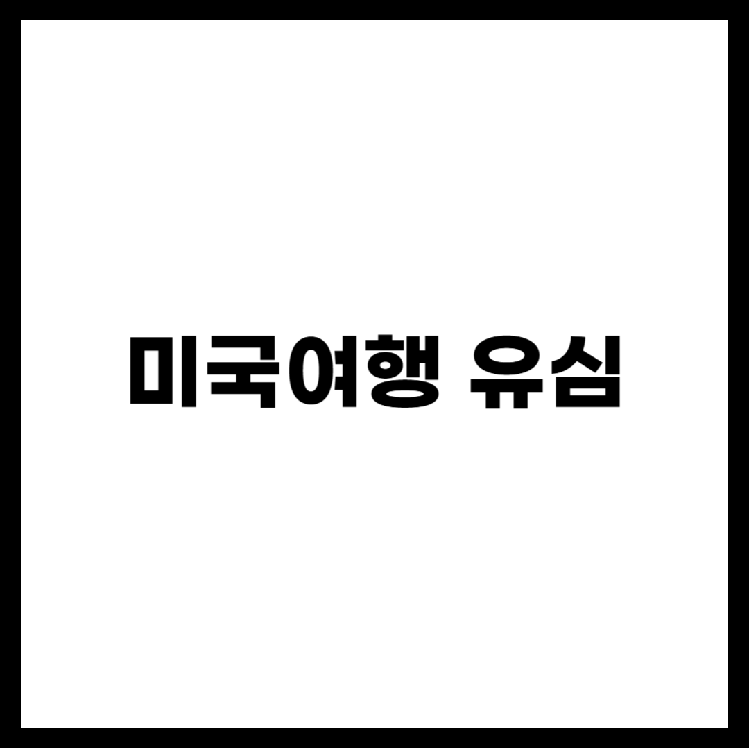 미국여행 유심