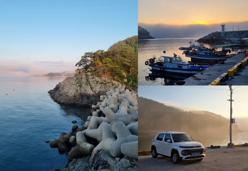 이른 아침 일어나 부둣가 주변을 둘러보던 모습입니다.