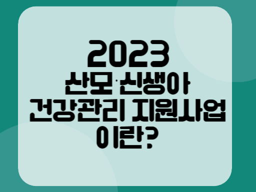 2023 산모·신생아 건강관리 지원사업