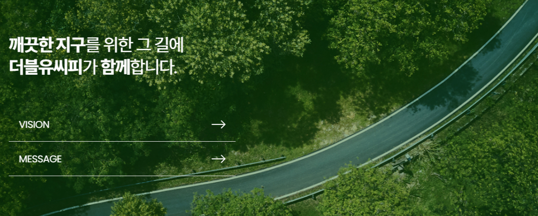 더블유씨피 주가전망