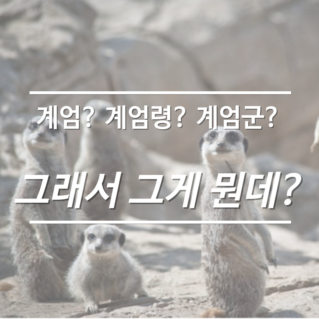 한량, 한량시대, 지적한량, 계엄, 계엄군, 계엄령