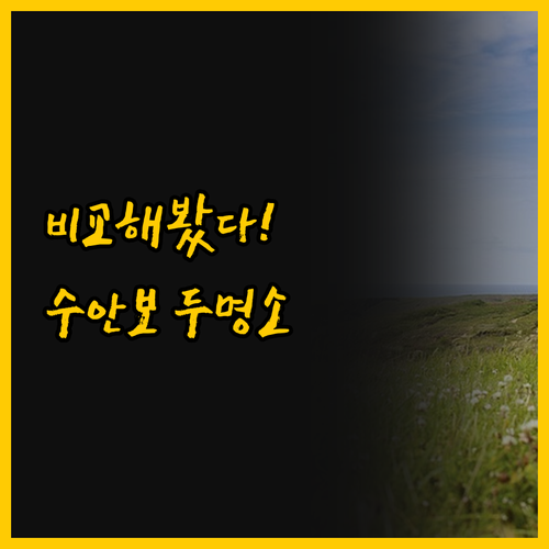 수안 방에서 발견한 두 개의 숨은 보..