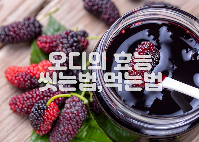 오디와 오디잼이 테이블에 놓여져 있다