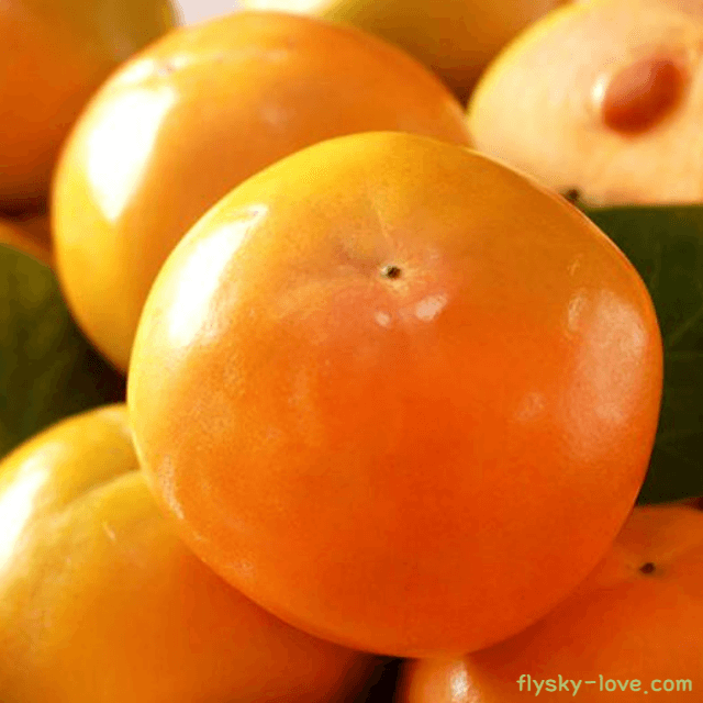 장 건강에 좋은 단감