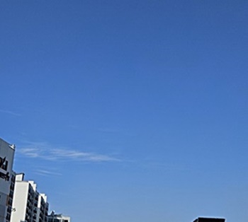 감기-예방-면역력-강화-건강-음식-관리