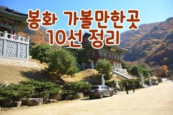 봉화 가볼만한곳 베스트10 현지인 추천 필수코스_9