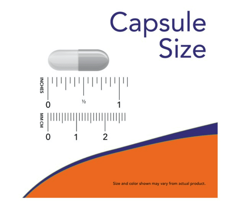 밀크씨슬 추천 및 판매 순위 TOP 5 - 네이버, 쿠팡, 올리브영 순위 분석