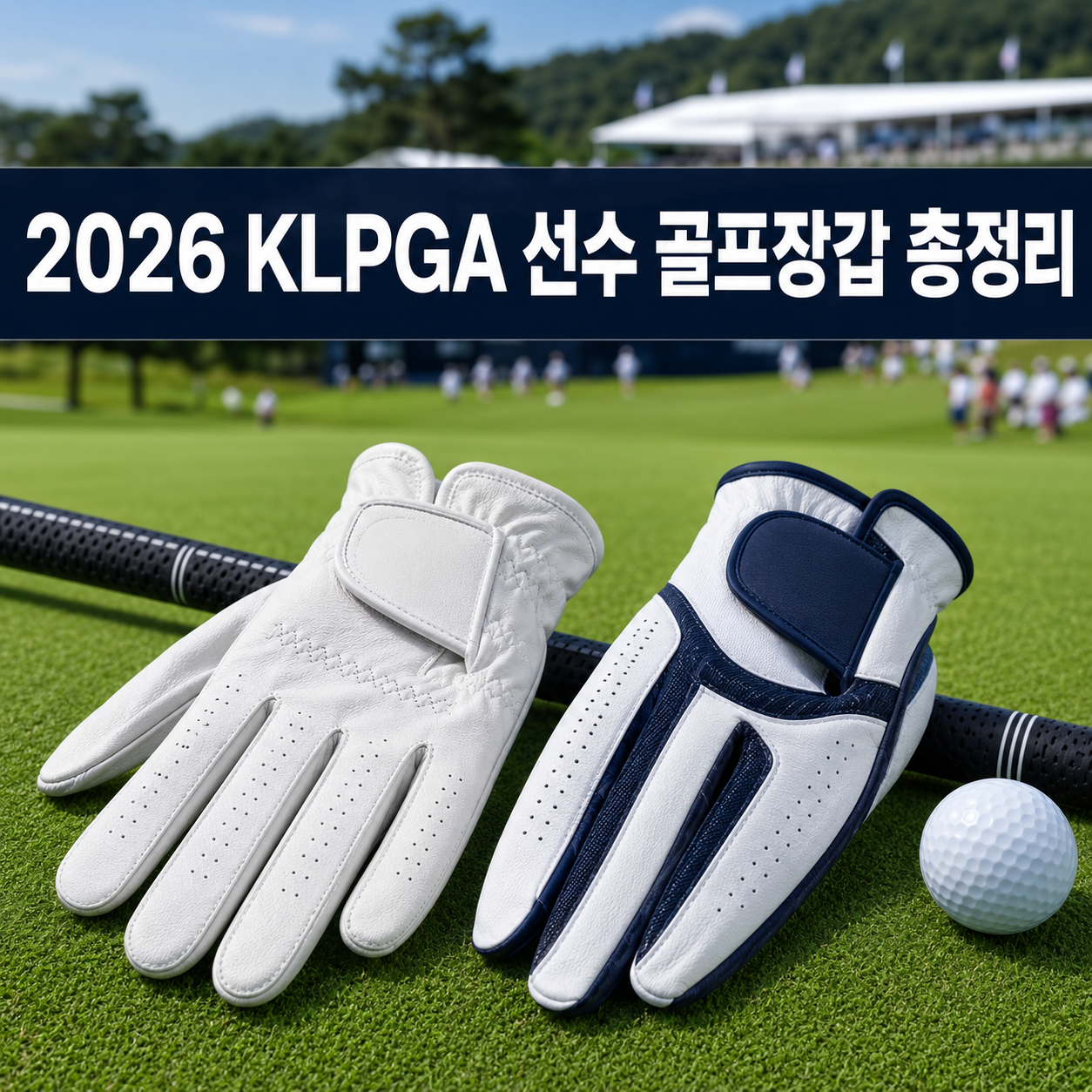 2026 KLPGA 선수 골프장갑 총정리양피·합피 차이와 가격 비교