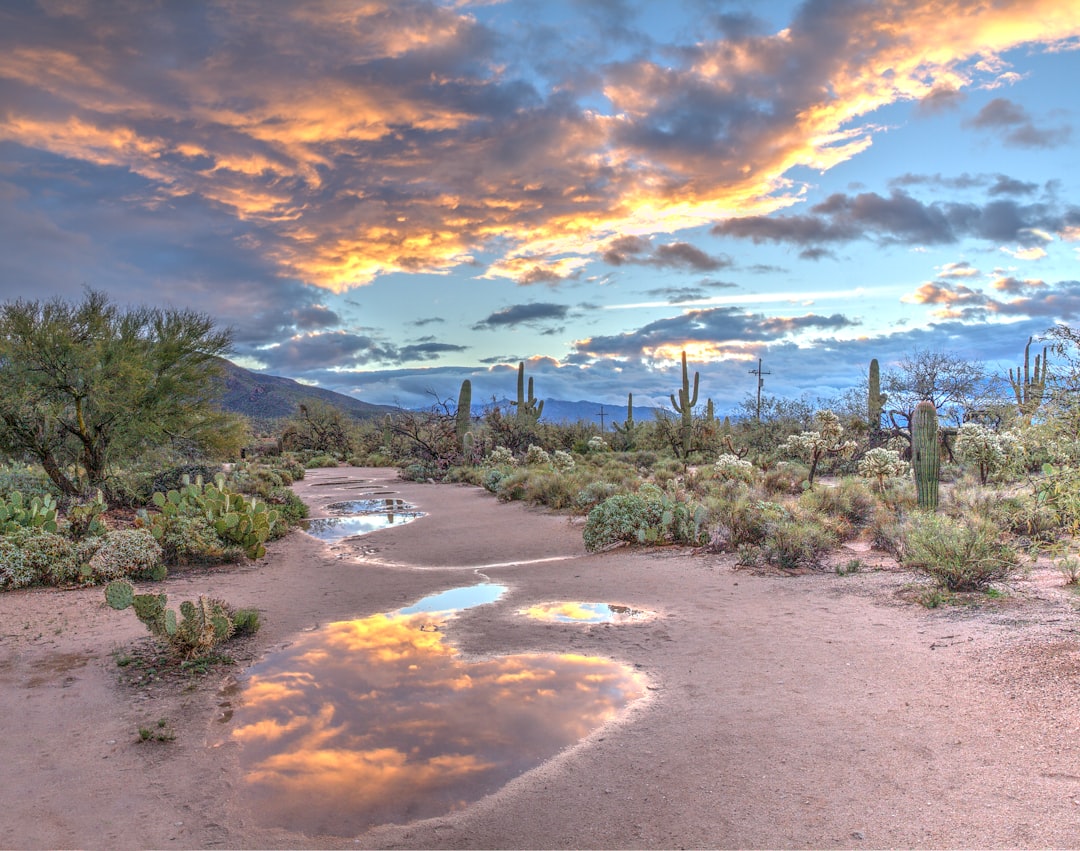 Tucson