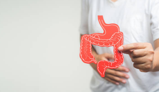 변비 원인&amp;#44; 증상&amp;#44; 해결방법 총정리 (2025ver)