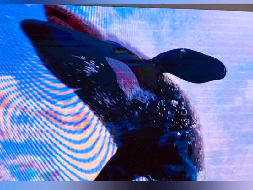 경기도 파주 대형 베이커리 카페, 공릉 저수지 뷰 모쿠슈라 (2호점)