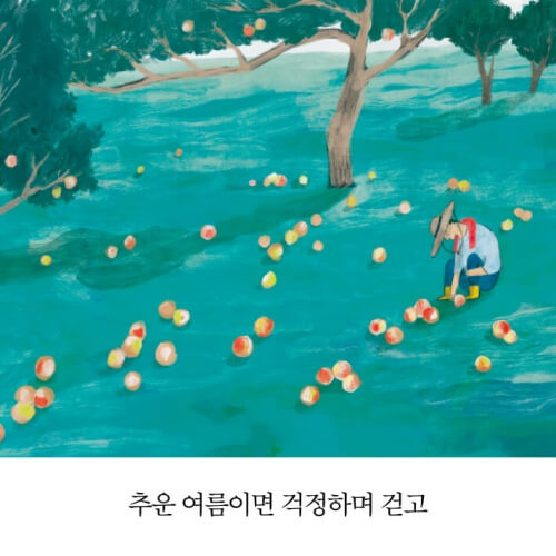 <비에도 지지 않고> 본문 삽화