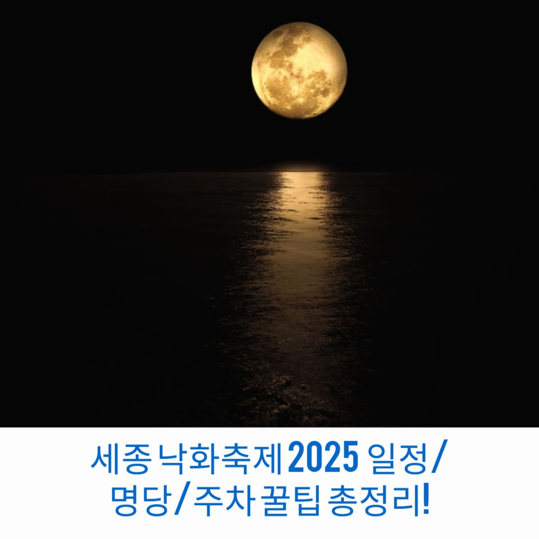 세종-낙화축제-2025-일정-명당-주차-꿀팁-총정리-썸네일