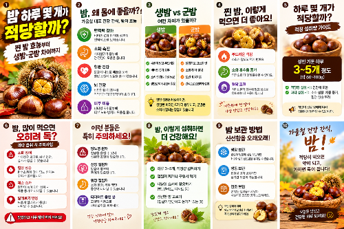 밤 하루 몇 개가 적당할까? 찐 밤 효능부터 생밤&middot;군밤 차이까지