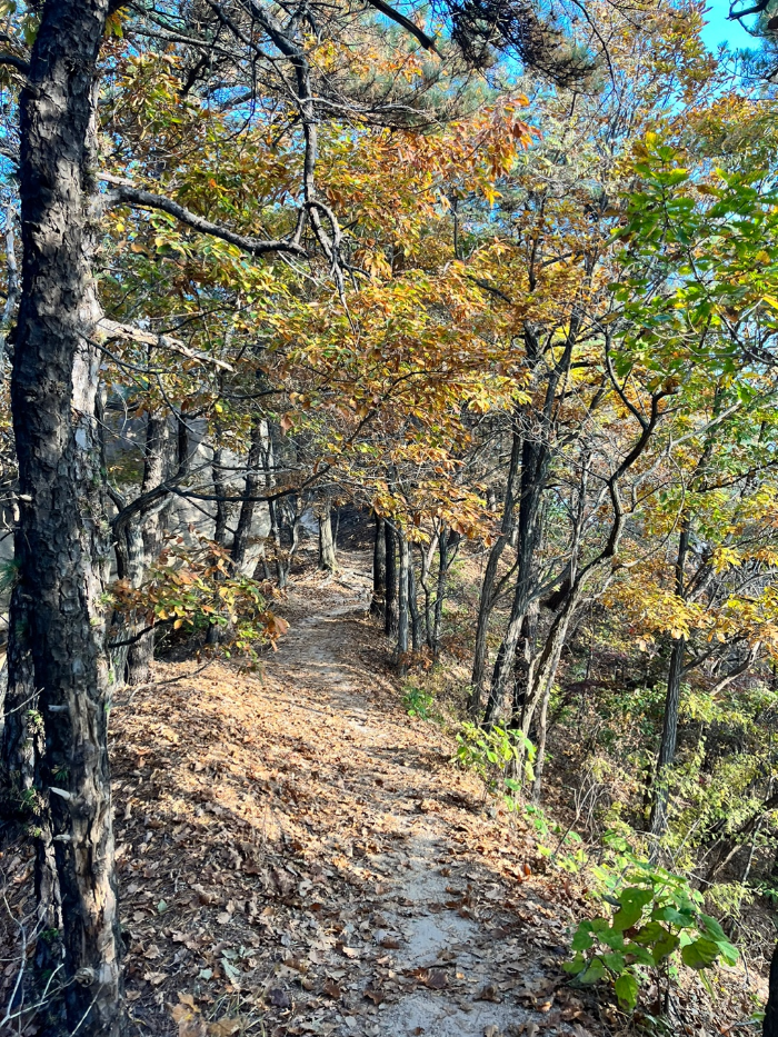 형제봉 도착 전 오솔길 모습