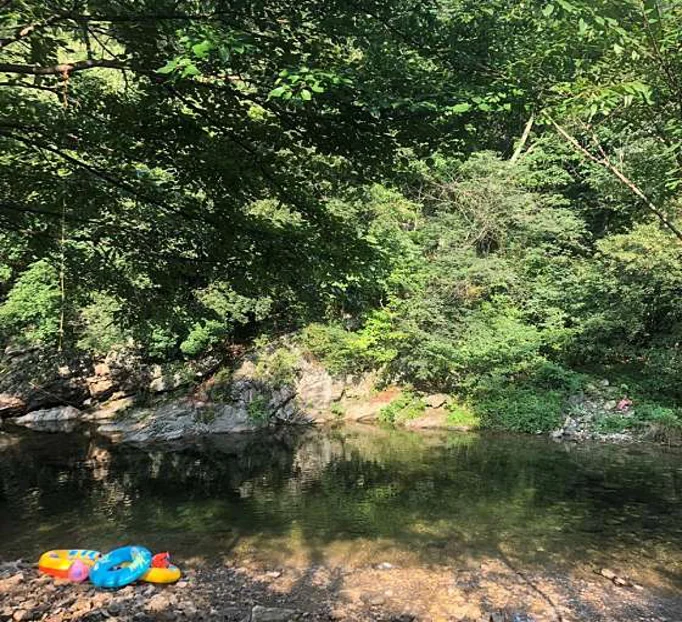 성황림 숲길 펜션,가든,식당,카페,캠핑