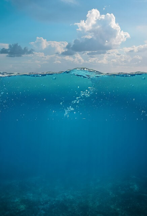 바다의 날, 5월 31일 행사 및 우리가 지켜야 할 바다의 소중함