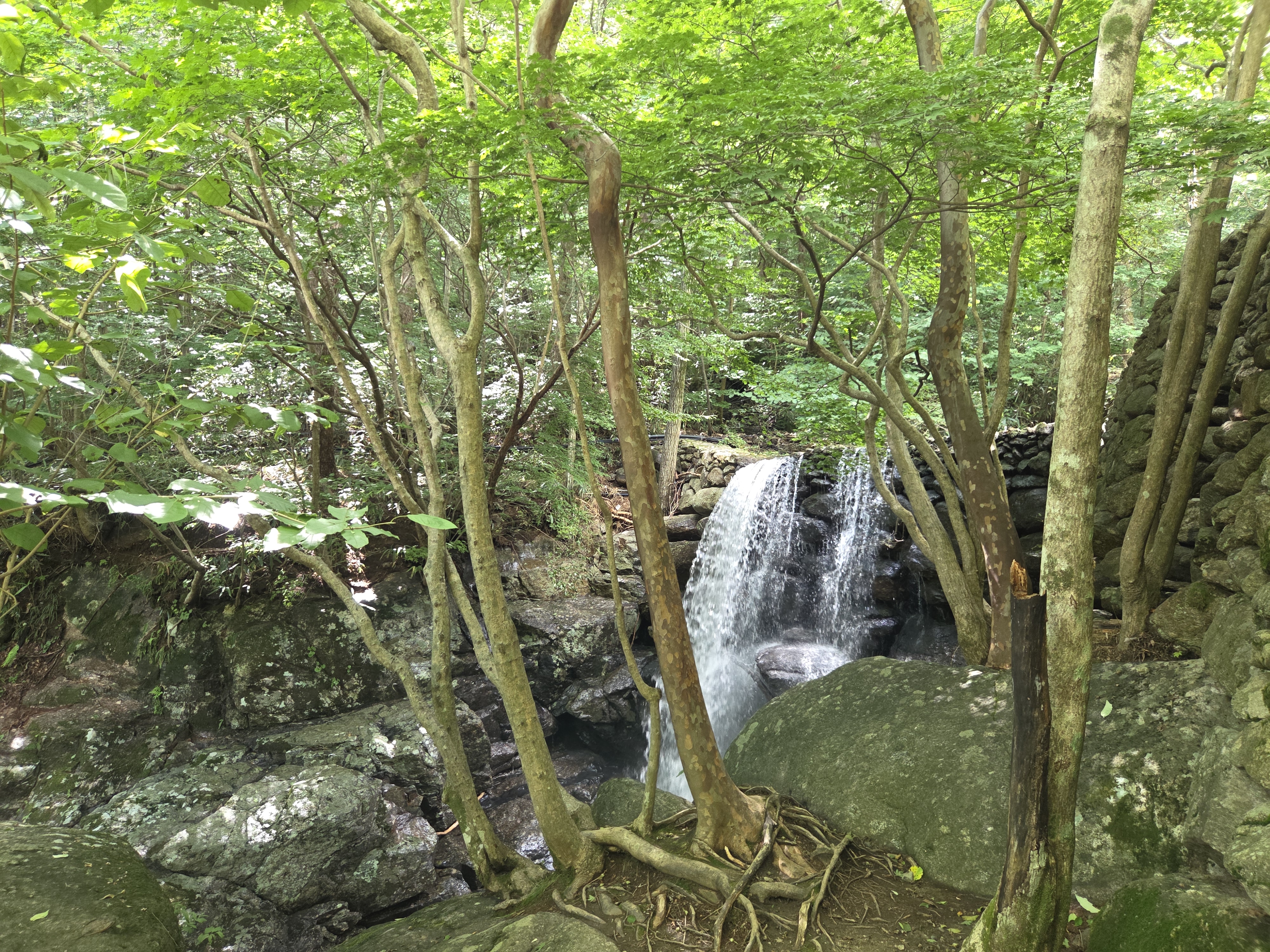 하동 삼성궁