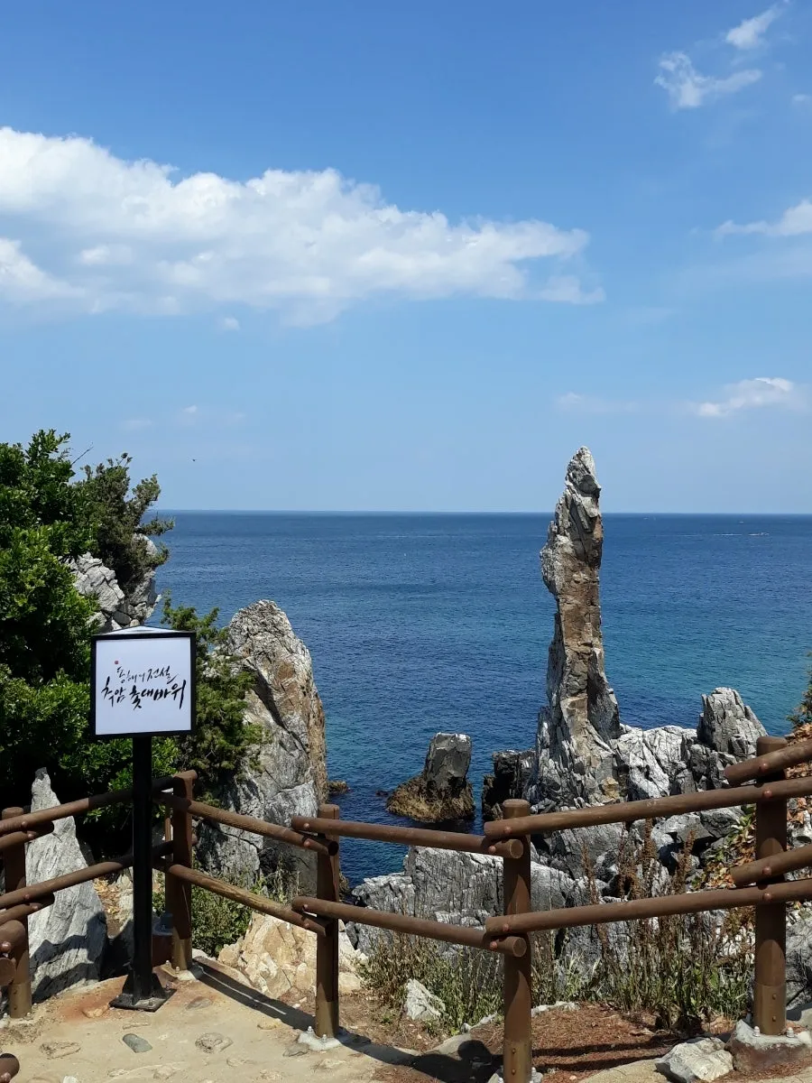 동해-촛대바위와-파란바다-푸른하늘-소나무전경