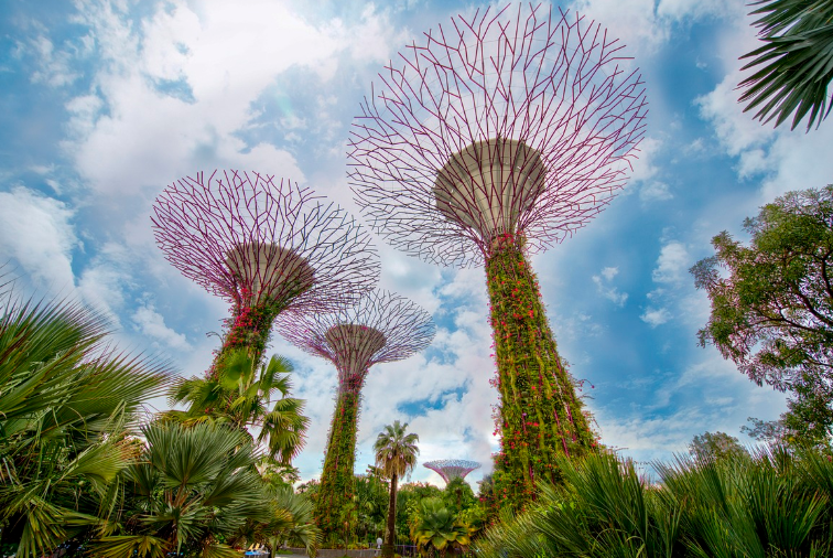 싱가포르 가든스 바이더 베이