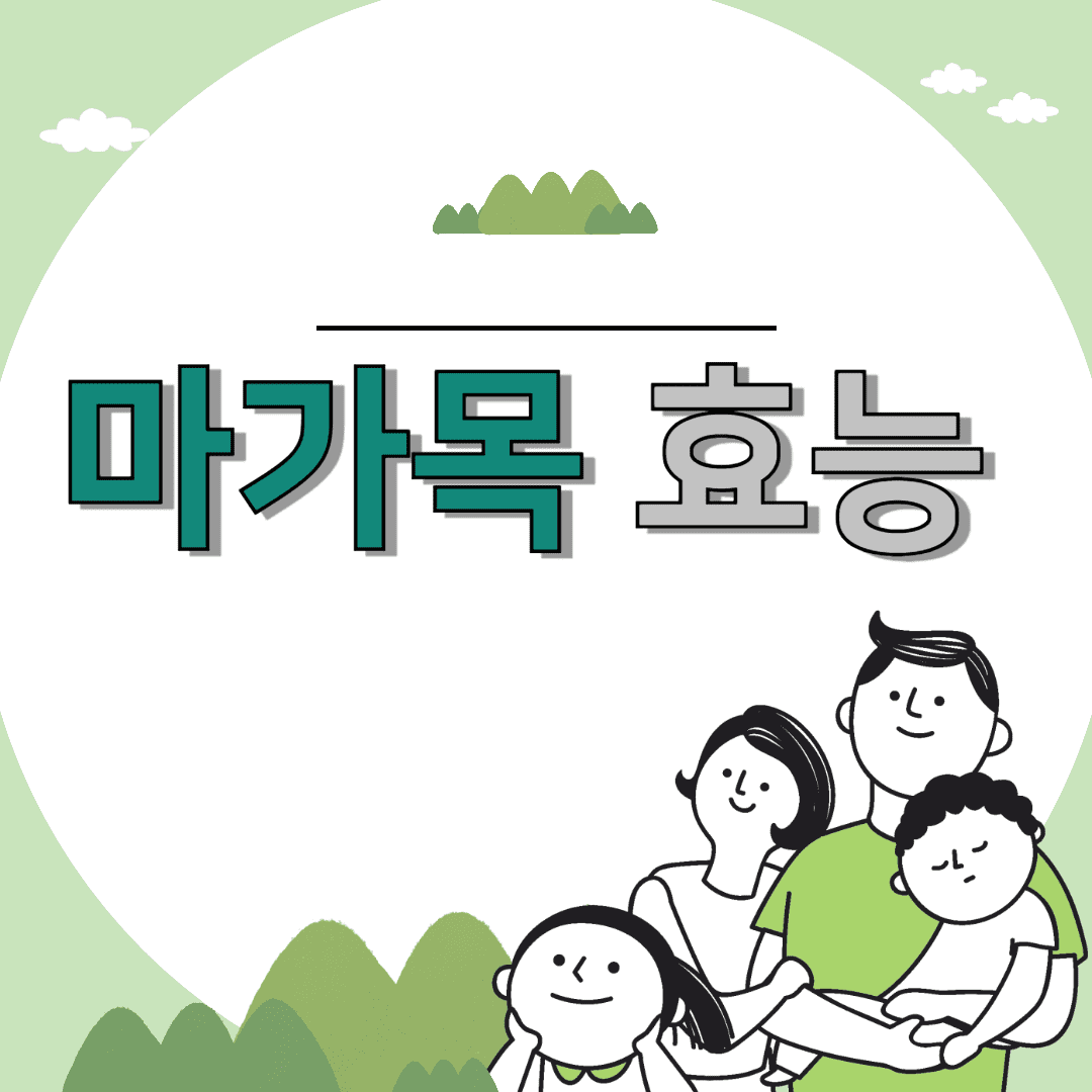마가목 효능