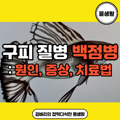 구피 백점병