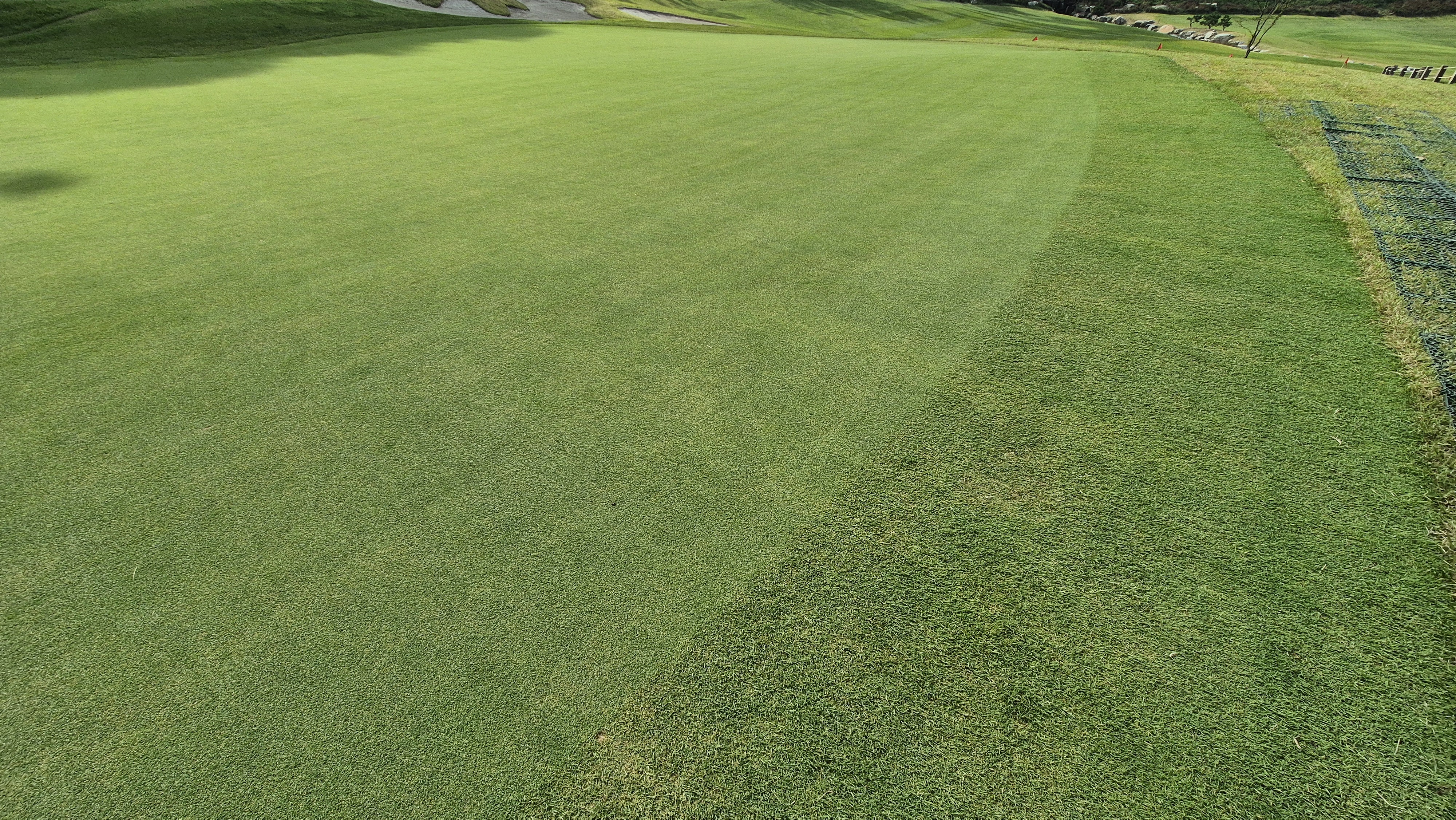 오로라cc 그린 관리 상태