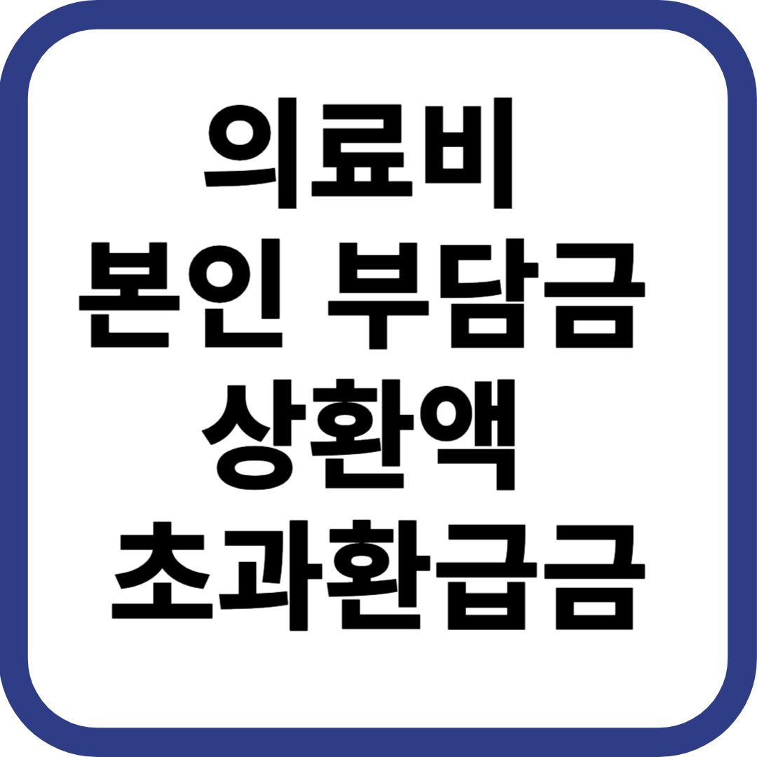 의료비 본인 부담금 상환액 초과환급금