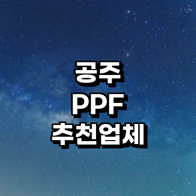 공주시 ppf