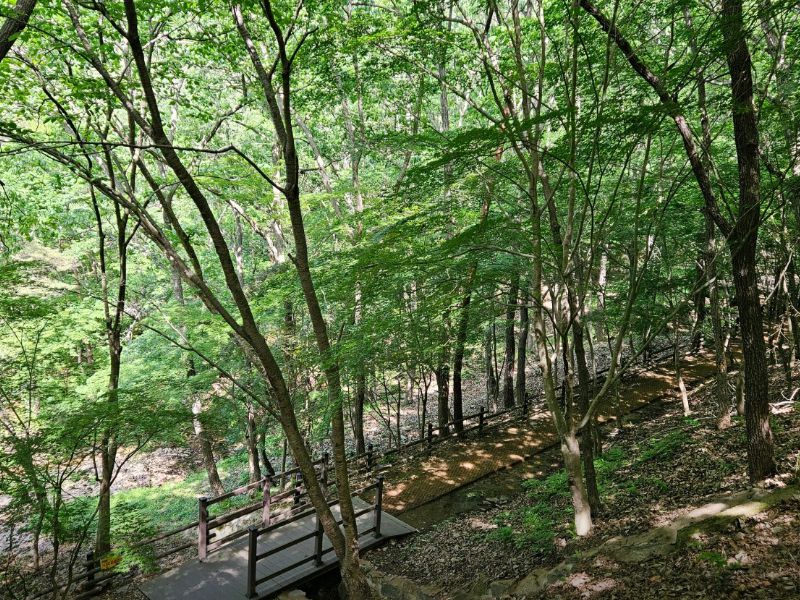 한천자연휴양림