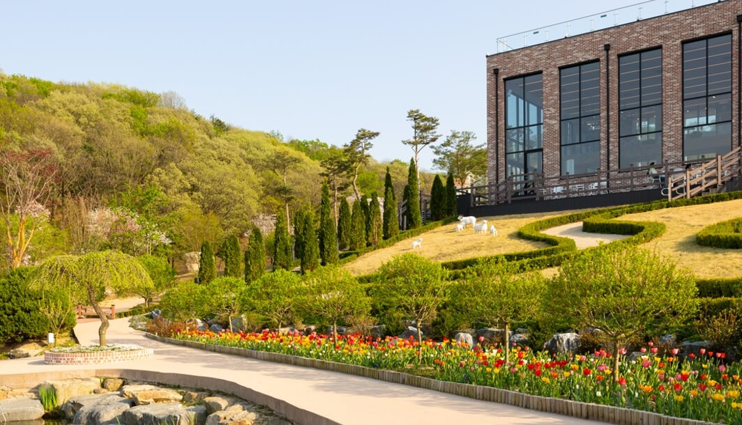 생생정보 택시맛객 용인여행 용인자작나무숲 봄꽃축제 실내스카이다이빙체험 족발맛집 평원집