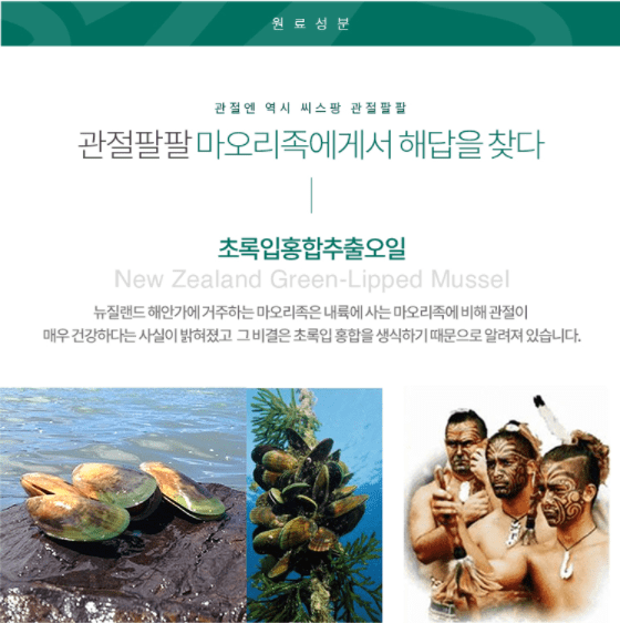 관절 건강 마오리족