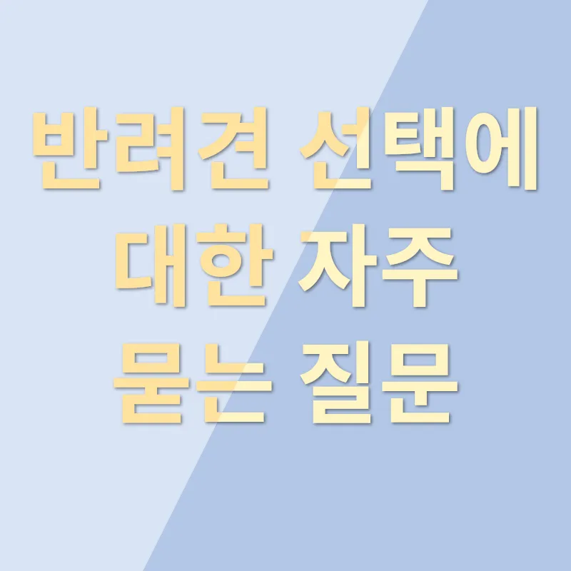 반려견 선택_4