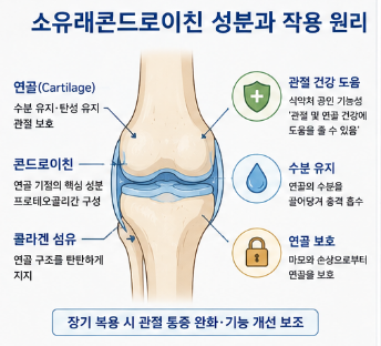소유래콘드로이친-효과-내돈내산-후기-성분-부작용-뜻