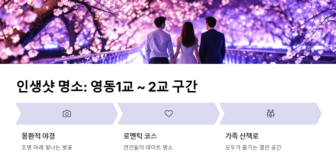 양재천 벚꽃 등(燈) 축제 명소 볼거리 꿀팁 총정리