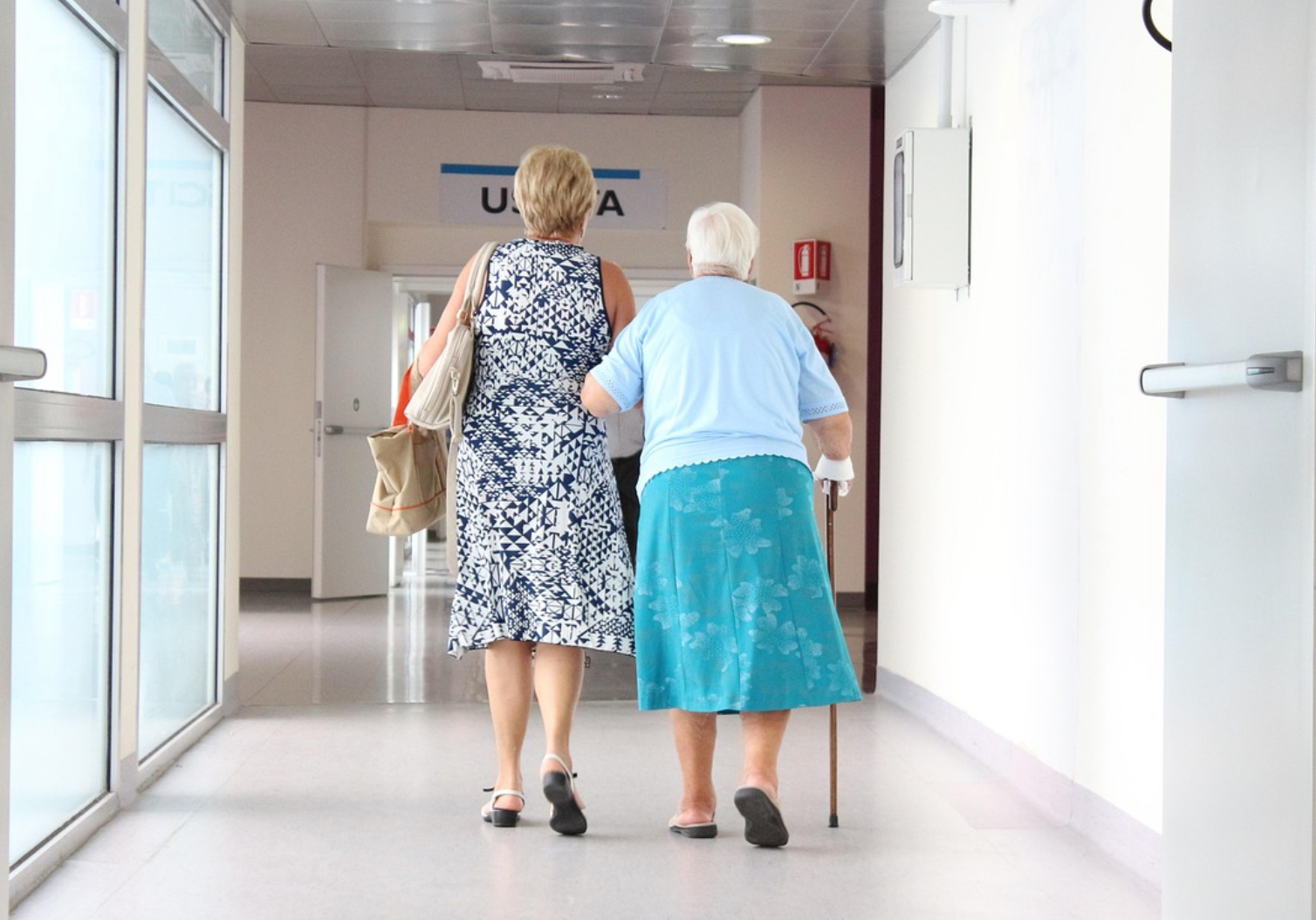 시니어 우친 활동