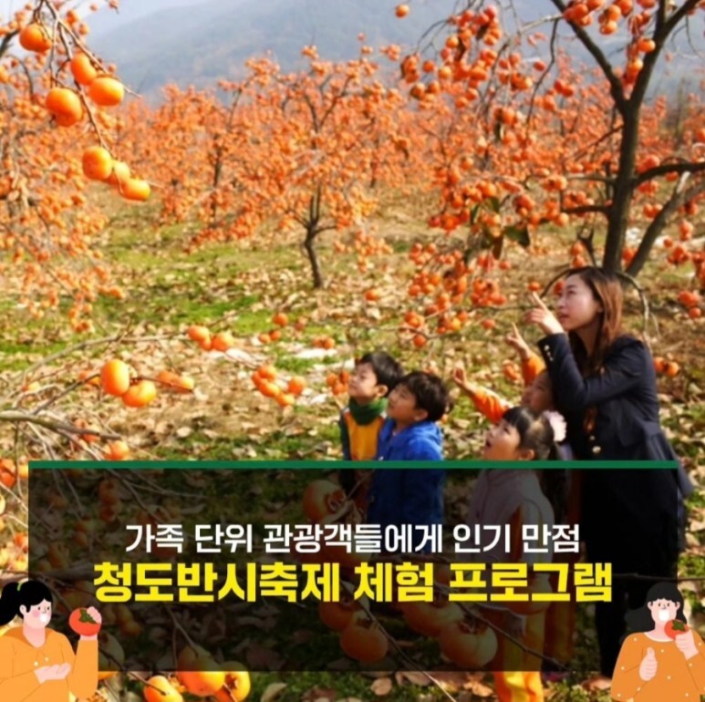  2023 청도 반시 축제 프로그램