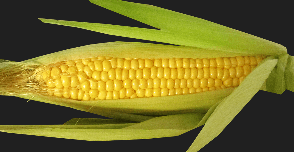 잇몸에 좋은 음식 사진 - 12