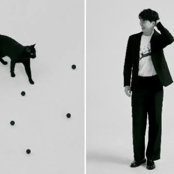 박수홍과-반려묘-다홍이-사진