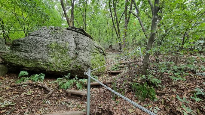 숲 속 산길에 큰 바위, 우측에 외 줄 안전 로프 난간,